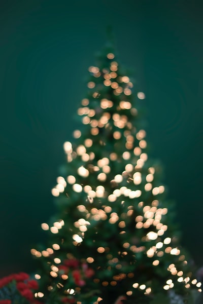 博克拍摄圣诞树和弦灯
